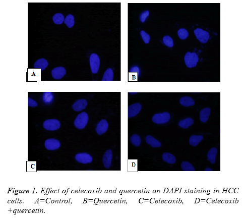 biomedres-celecoxib-quercetin