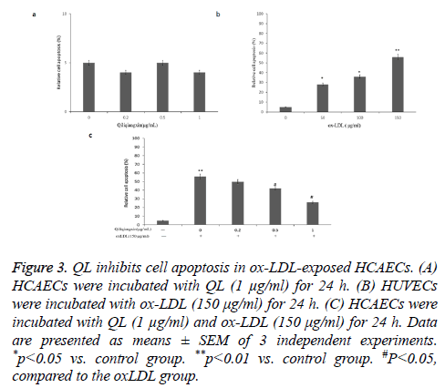 biomedres-cell-apoptosis