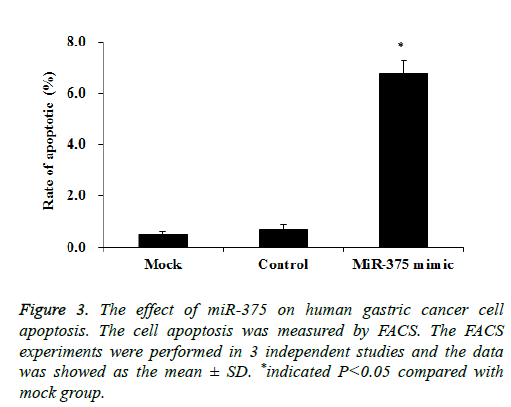 biomedres-cell-apoptosis-human