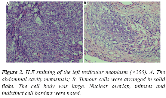 biomedres-cell-borders-noted