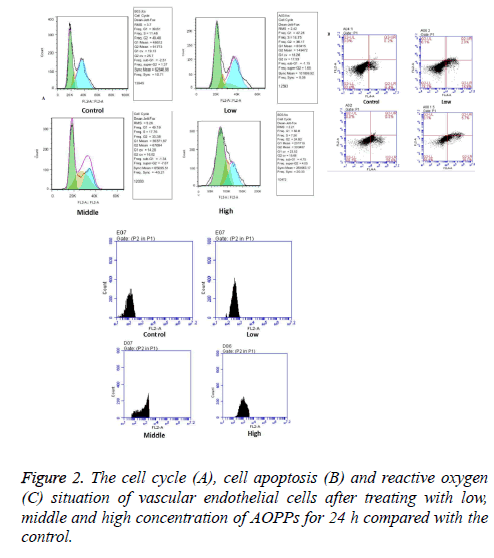 biomedres-cell-cycle