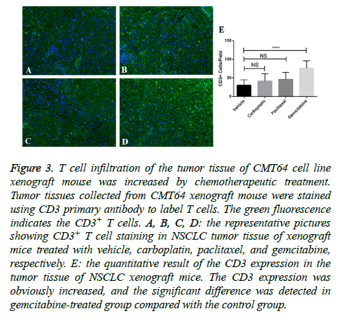 biomedres-cell-infiltration