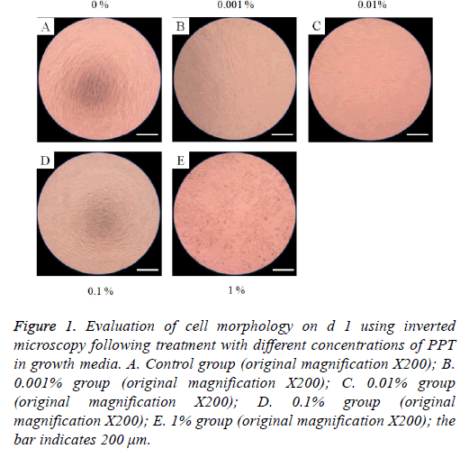 biomedres-cell-morphology