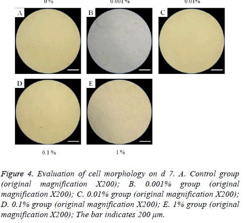 biomedres-cell-morphology