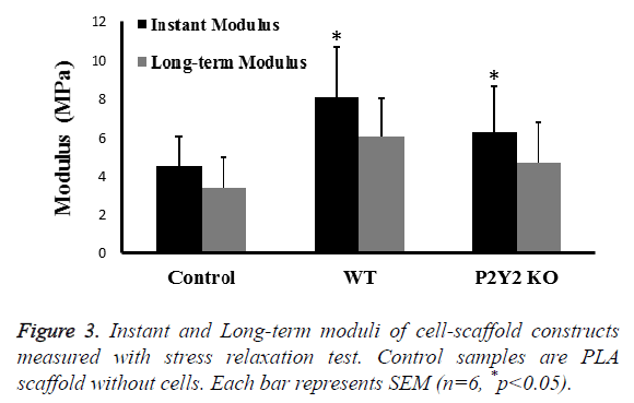 biomedres-cell-scaffold