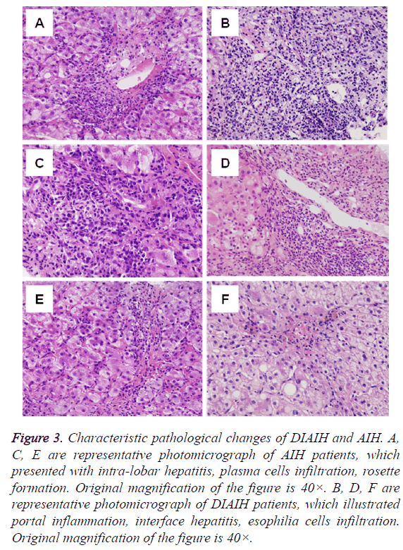 biomedres-cells-infiltration