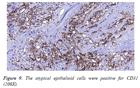 biomedres-cells-positive