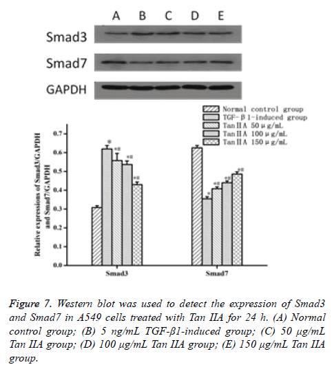 biomedres-cells-treated