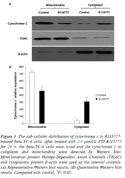 biomedres-cellular-cytochrome