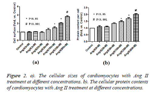 biomedres-cellular-protein