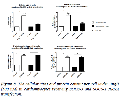 biomedres-cellular-sizes