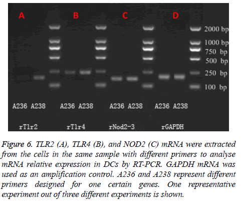 biomedres-certain-genes