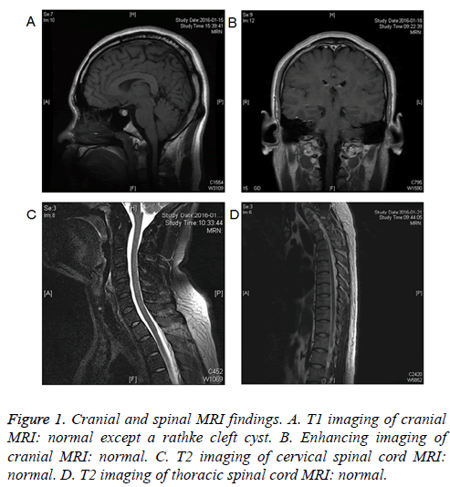 biomedres-cervical-spinal-cord