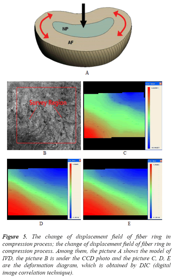 biomedres-change-displacement-field