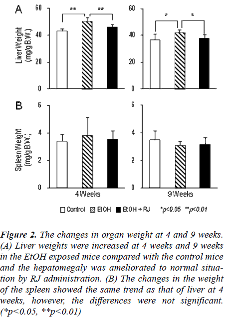 biomedres-changes-organ-weight