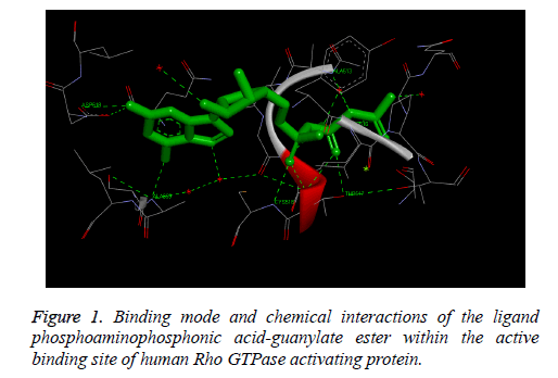 biomedres-chemical-guanylate