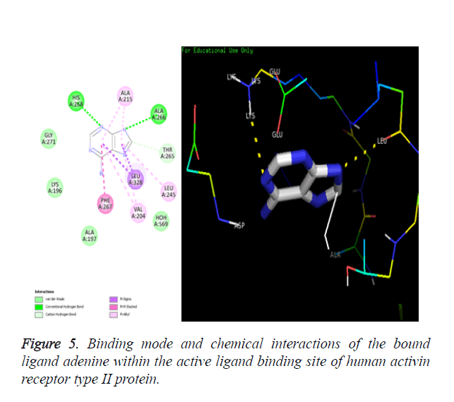 biomedres-chemical-interactions