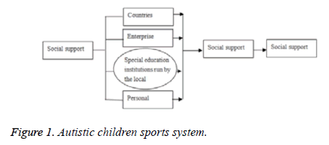 biomedres-children-sports-system