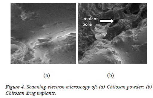 biomedres-chitosan-implants