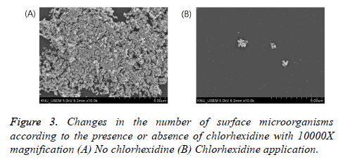 biomedres-chlorhexidine