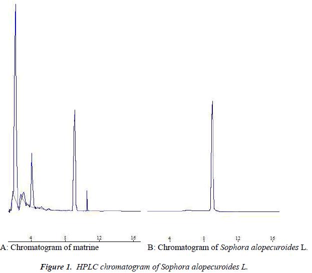 biomedres-chromatogram-Sophora-alopecuroides