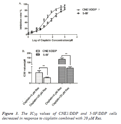 biomedres-cisplatin-combined