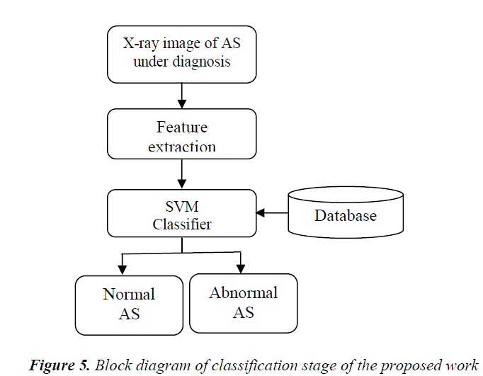 biomedres-classification-stage