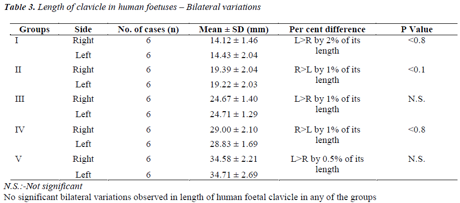 biomedres-clavicle-human-foetuses