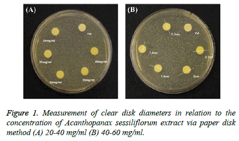 biomedres-clear-disk
