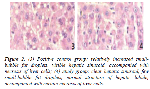 biomedres-clear-hepatic