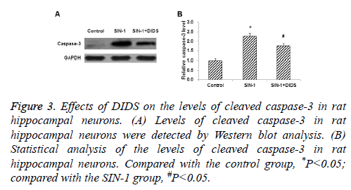 biomedres-cleaved-caspase