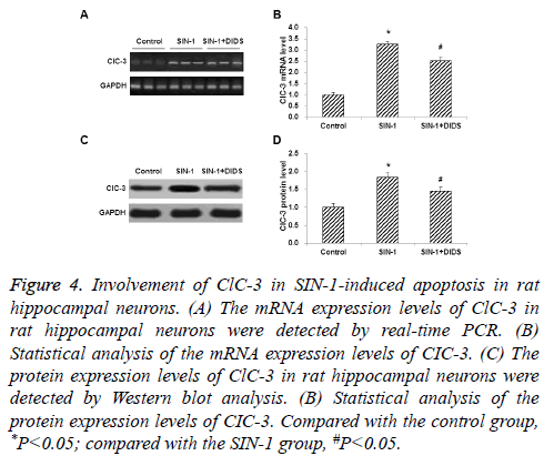 biomedres-cleaved-caspase