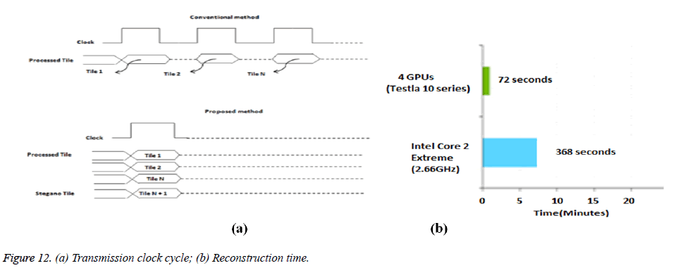 biomedres-clock-cycle