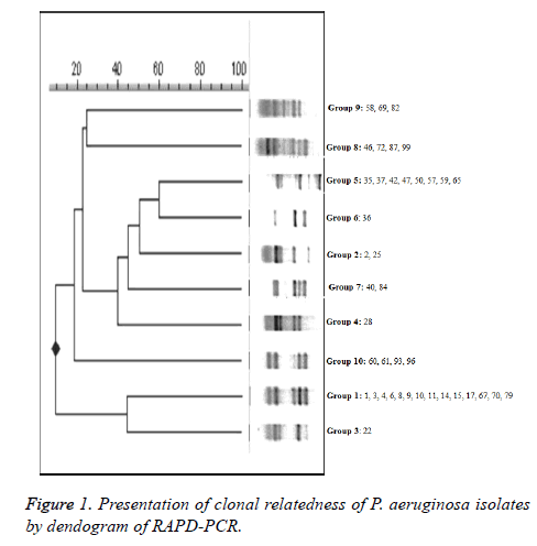 biomedres-clonal-relatedness