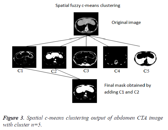 biomedres-clustering-output