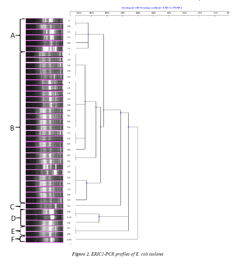 biomedres-coli-isolates