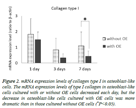 biomedres-collagen-type