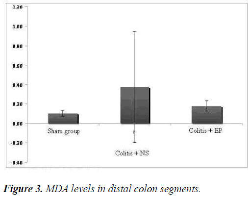 biomedres-colon-segments