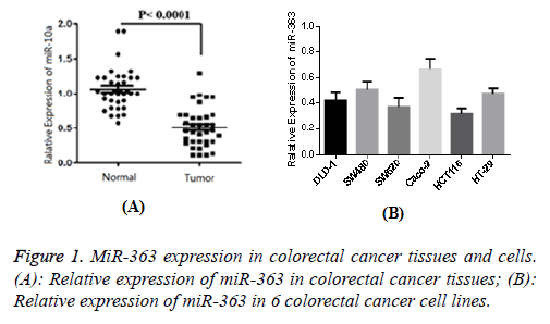 biomedres-colorectal-cancer