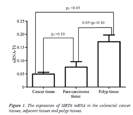 biomedres-colorectal-cancer