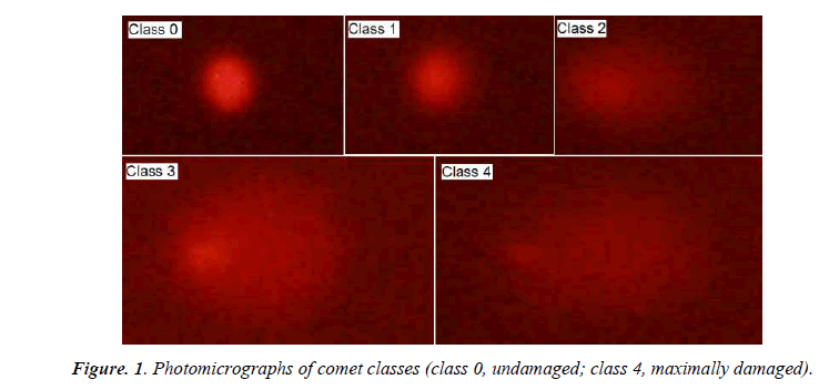 biomedres-comet-classes