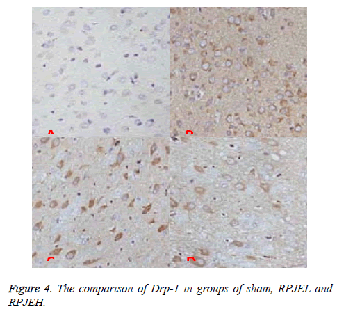 biomedres-comparison-groups