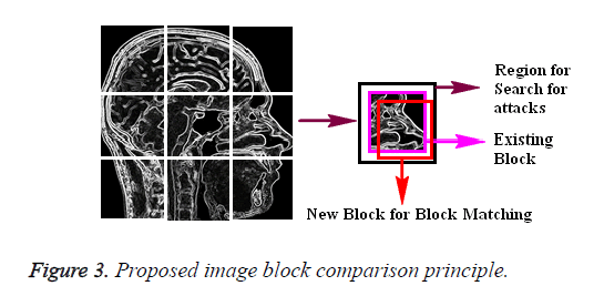 biomedres-comparison-principle