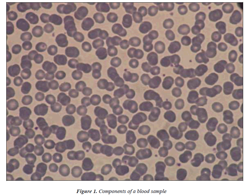 biomedres-components-blood-sample