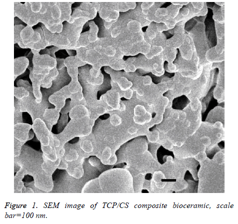 biomedres-composite-bioceramic