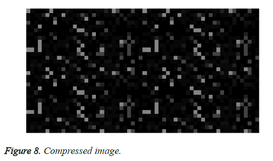 biomedres-compressed-image