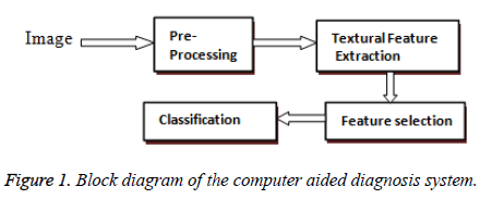 biomedres-computer-aided-diagnosis-system