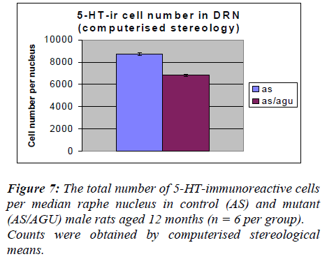 biomedres-computerised-stereological-mutant