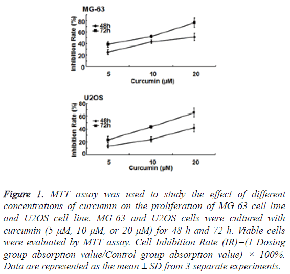 biomedres-concentrations-curcumin-proliferation