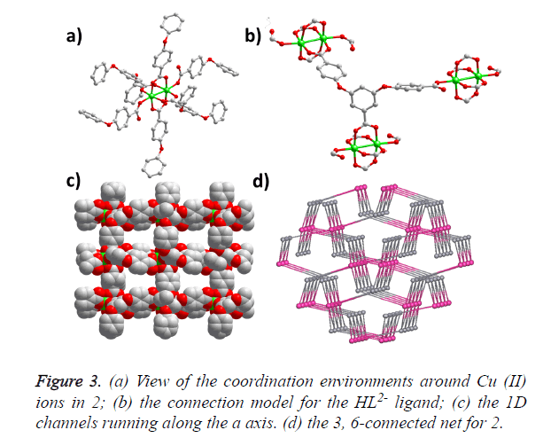 biomedres-connection-model